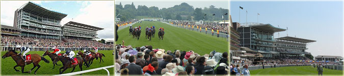 York Racecourse